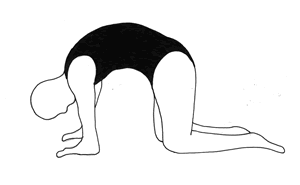 exercise for lower back pain