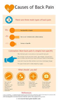 thumbnail image to an infographic on causes of back pain